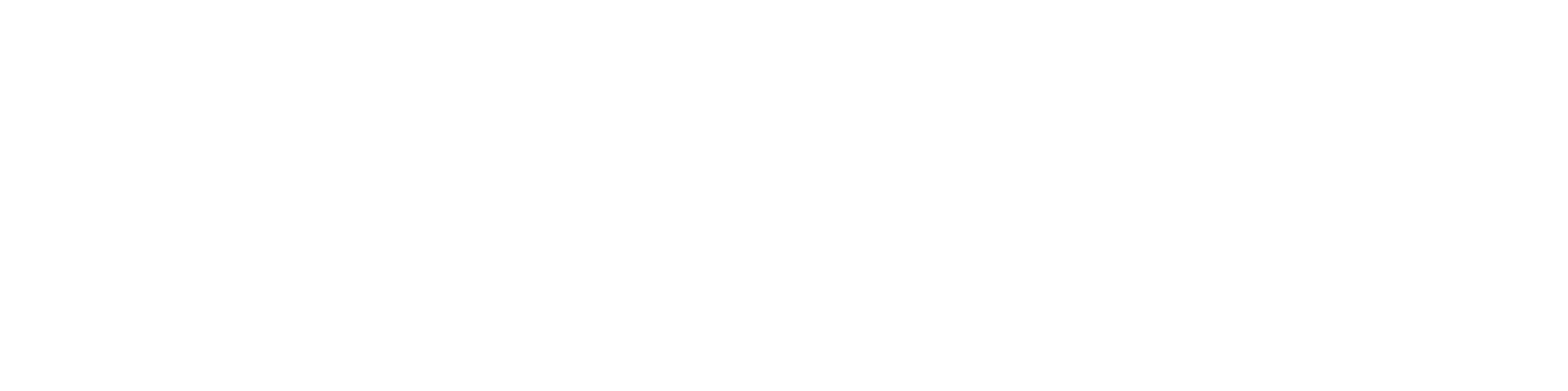 Connect Projectmanagement en Advies